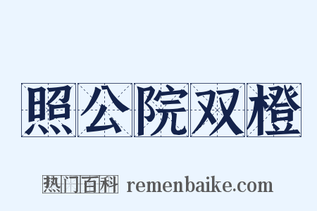 照公院双橙是什么意思的图片